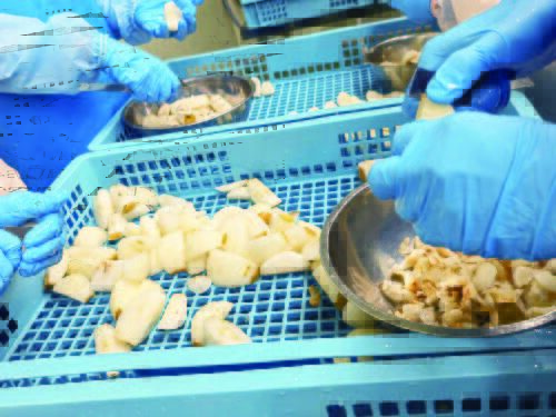 農産物加工の作業風景3