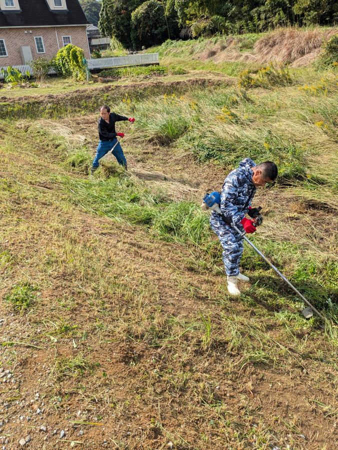 草刈り機での草刈り作業